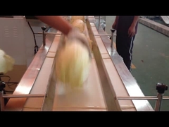 横の流れのパック機械