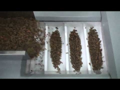 工場価格の干しぶどうのパッキング機械、くだらないパッキング機械は、赤い日付のパッキング機械を乾燥した