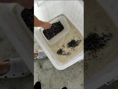 動画：LC-M4H 穀物選別機 鉱物 CCD 色彩選別機 ショーケース