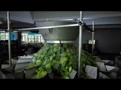 パンプキンシード既製袋包装機チャック付きポーチ計量包装機を選ぶ理由をご覧ください