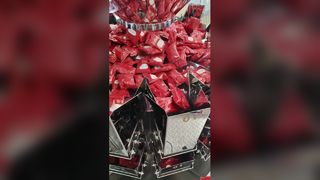 自動バッグインバッグロータリー既製パウチ包装機