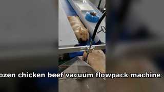 簡単操作の冷凍鶏肉、牛肉、豚肉真空ピロー包装機フローパック包装機